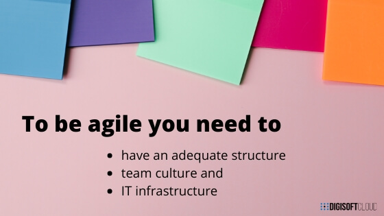 Company agility factors: structure, culture and IT infrastructure